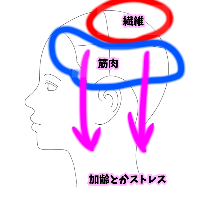 加齢で髪にクセやうねりやパサツキが出てきた時の原因と解決策 もう都内まで行かなくていい 千葉でおすすめな美容師 美容室