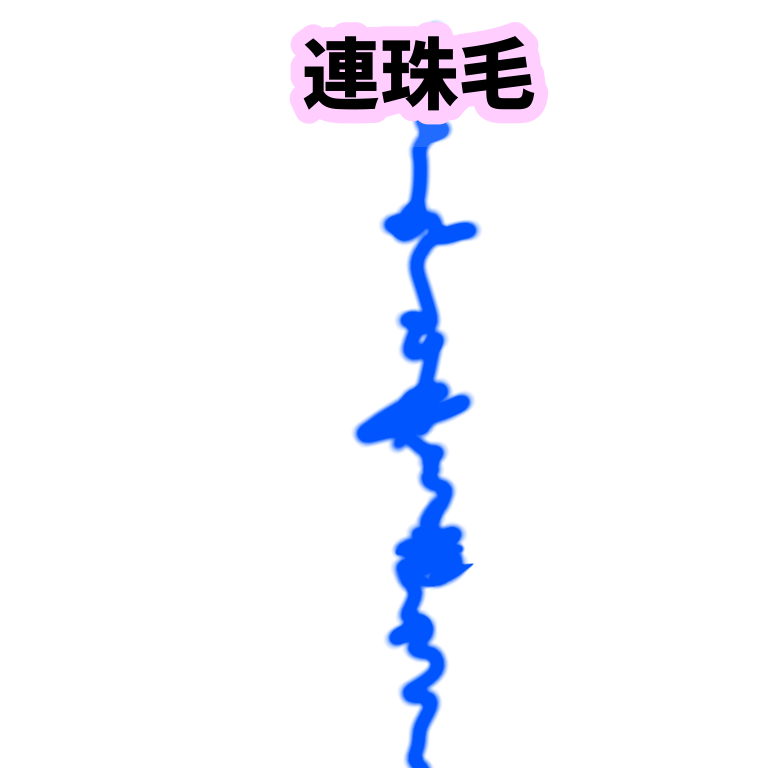 くせ毛には先天性と後天性がある 収まりやすくするそれぞれの対処法 もう都内まで行かなくていい 千葉でおすすめな美容師 美容室